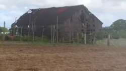 Así quedó una casa de tabaco afectada por la tormenta Laura en agosto