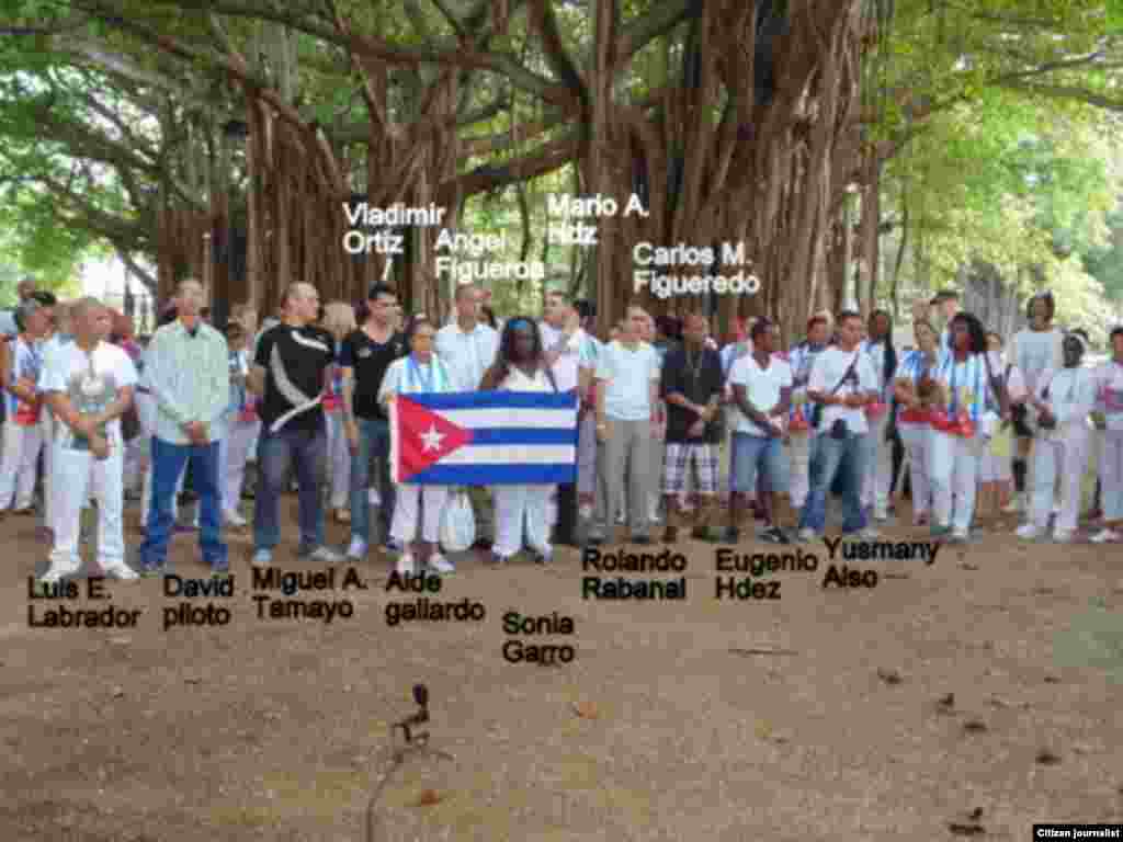 En el parque Gandhi de Miramar, las Damas de Blanco se reunieron con varios de los excarcelados.&nbsp; Foto Angel Moya.