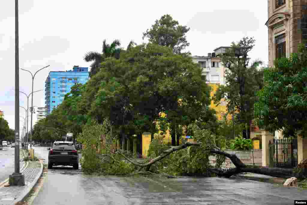 Un árbol fue derribado por los vientos del huracán Rafael y obstruye una vía de la capital cubana.