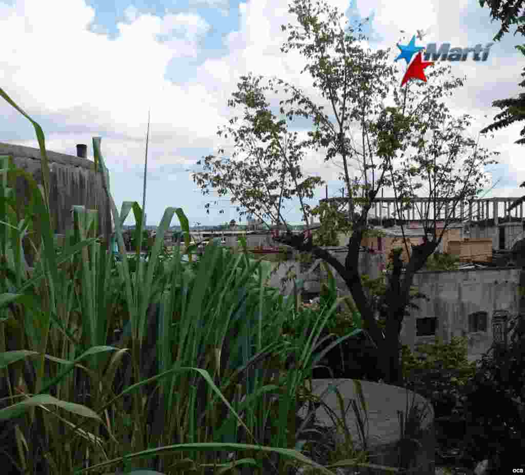 Matadero de Lawton, La Habana, Cuba