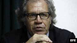 Luis Almagro, nuevo secretario general de la OEA.